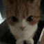 SkyFall