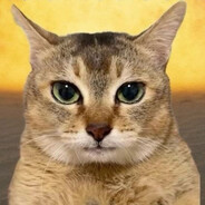 mog