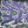 DRae77 avatar