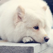 她是我的谭小姐