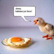 [freestylers]   anibal