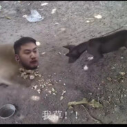 唉～为何你的幽默和浪