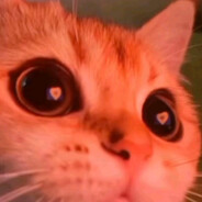 Professor McSnapplers