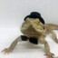 LizardGod