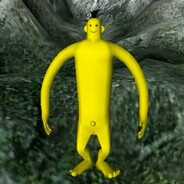 tiva