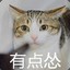 猛汉王