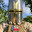Sir Bart