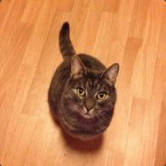 Rollertoaster01 - steam id 76561197971755344