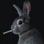 Cig Chungus