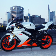 ♪♪✘Fido✘Yamaszka❣✩