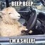 Beep Beep Im A Sheep