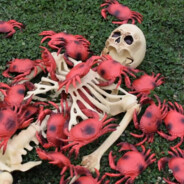 ZZZZZZZZZZZZZZZZZZZZZZZZZZZZZZZZ