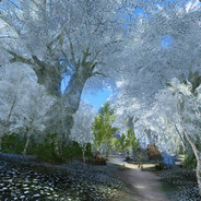 Ebrius Flores Umbrosus