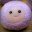Purple Pygmy