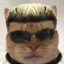 Stinky Steve