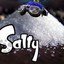 Salt King