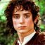 Frodo Baggins