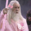 gandalf the pink