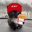 ketspi