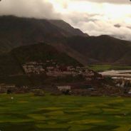 此号不用，新ID号255984931