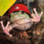 Frog Durst