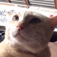 สุรเดช จันทร์หอม