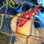 Chafyx_-