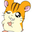 HAMTARO