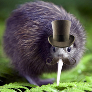 Mr. P. Kiwi avatar
