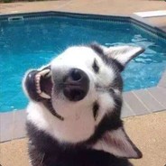 茫茫人生好像荒野