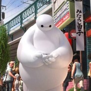 D就是赌赌就是输