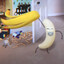 Dr.Banana avatar