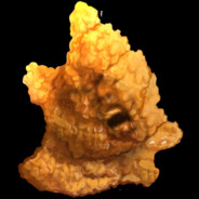 宝宝肚肚打雷了