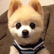 没事别老学我叫