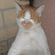 狂野！震撼亚洲