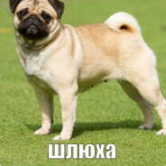 владик газелькин