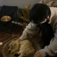 性感冷锋在线抢A