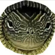 蛆从天降愤怒狰狞