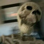 -ZomB-