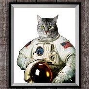 SpaceCat™