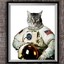 SpaceCat™