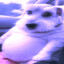peebcheeb
