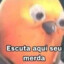 NokxuY21