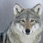 ttv.Natplays42 - steam id 76561197970762939