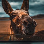 三丶少