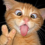 A1EXMEOW's avatar