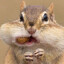 Chipmunk