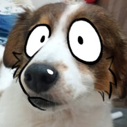 why's this doggy so soggy