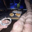 одежда (крутая)