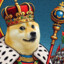 DogeKing